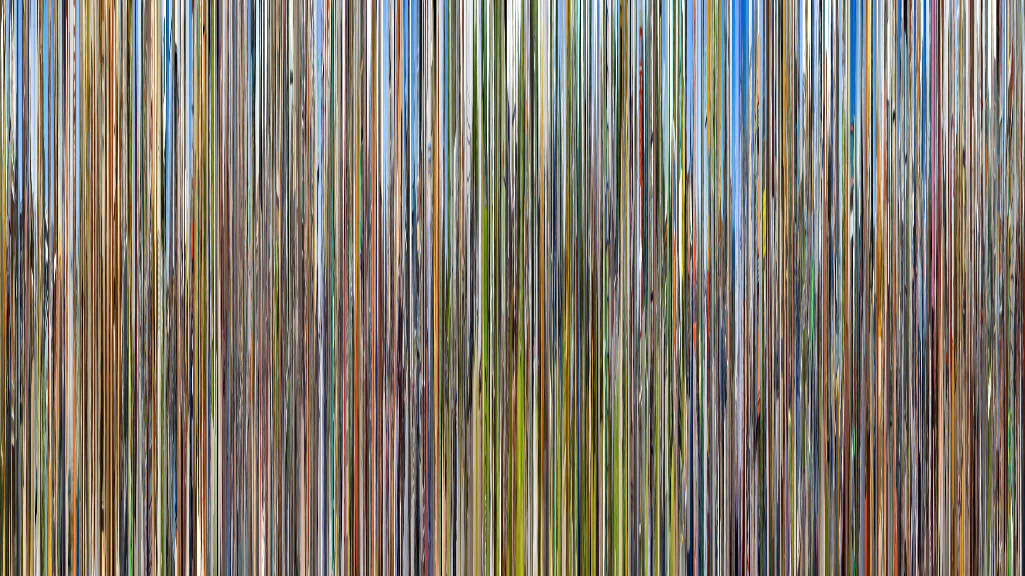 Hasan Elahi, Conelrad v09 — pigment print on canvas, 72 × 39 inches, 2016